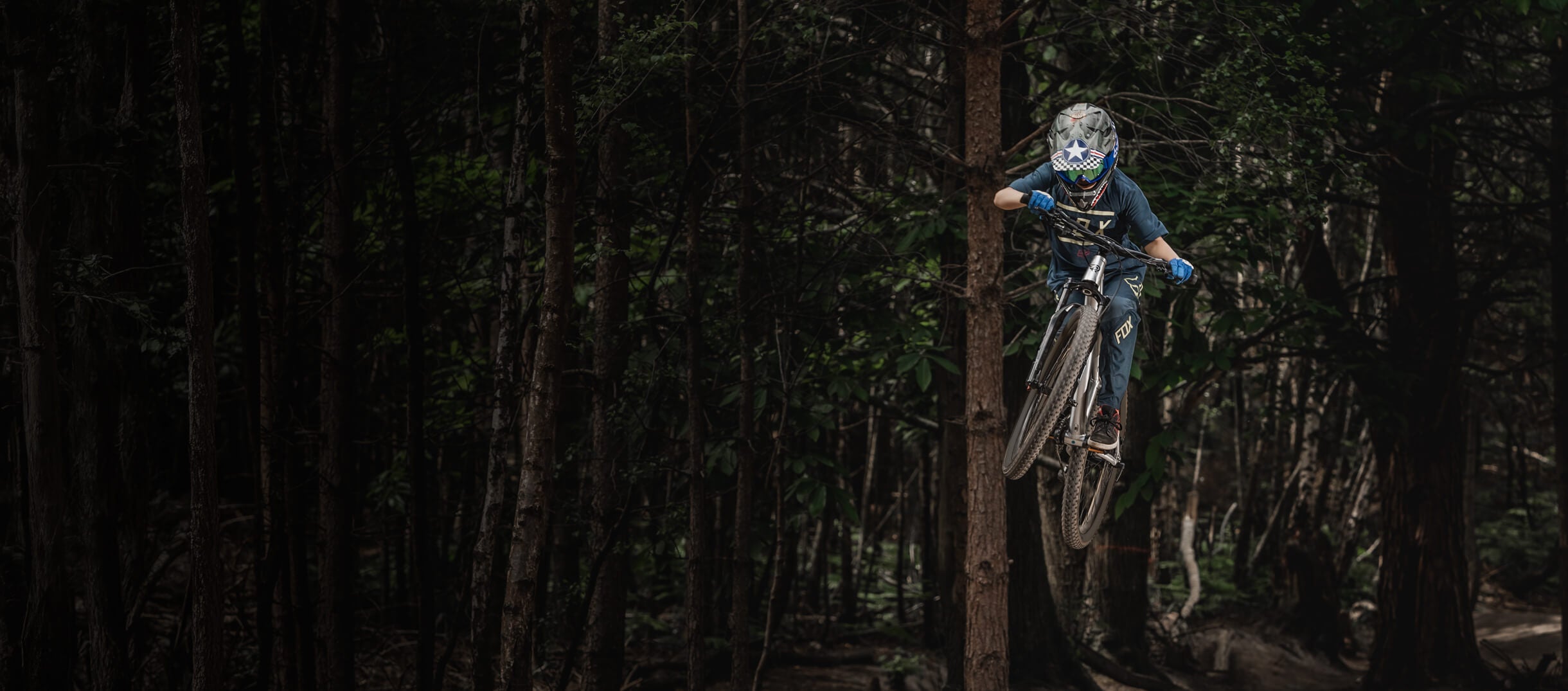 Person riding a bicycle through a dark forest