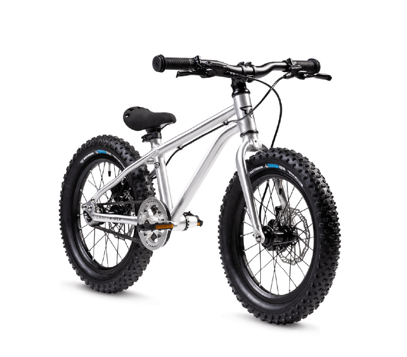 Belter early rider 16 sales