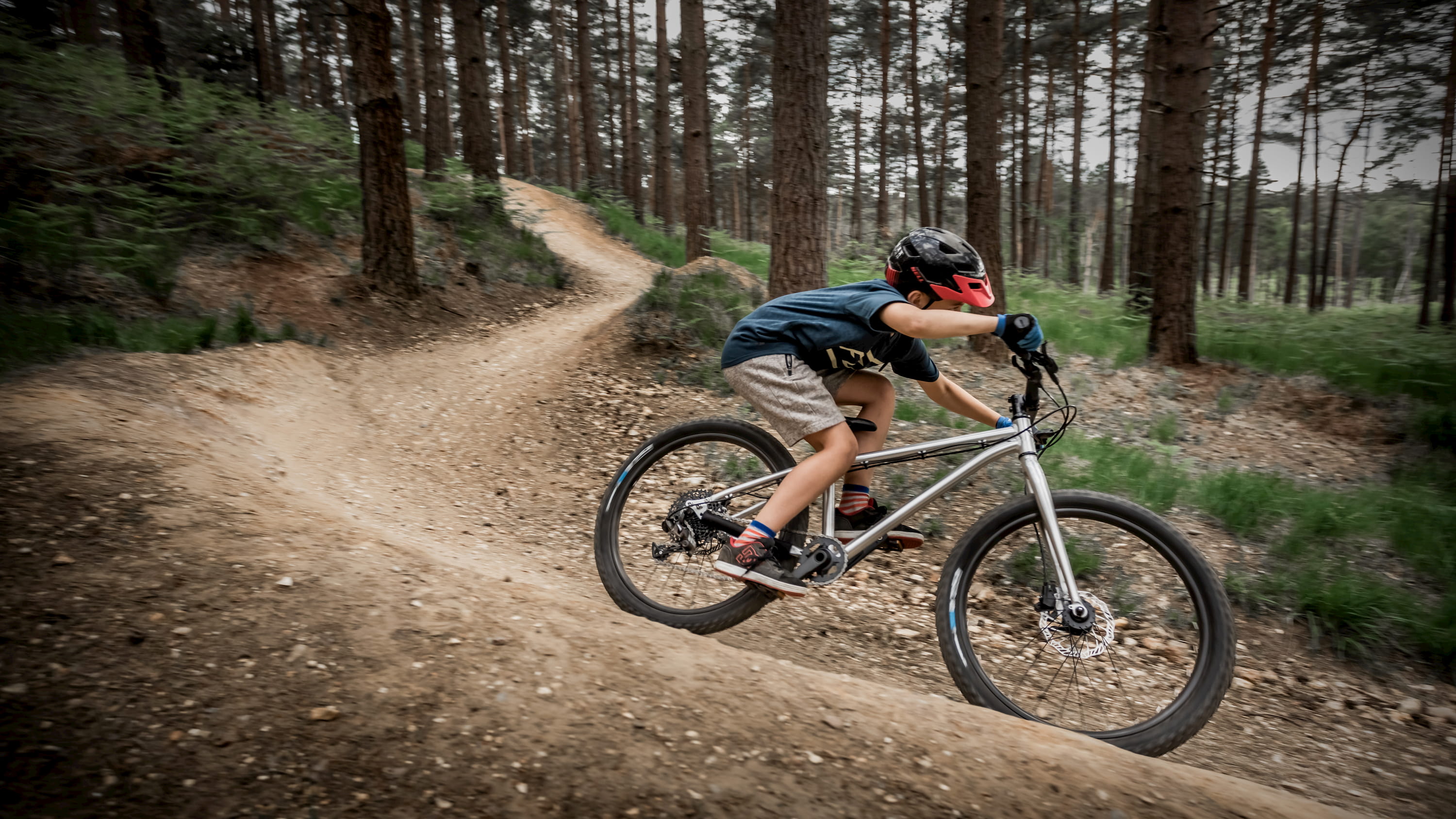 All Bikes – Early Rider®