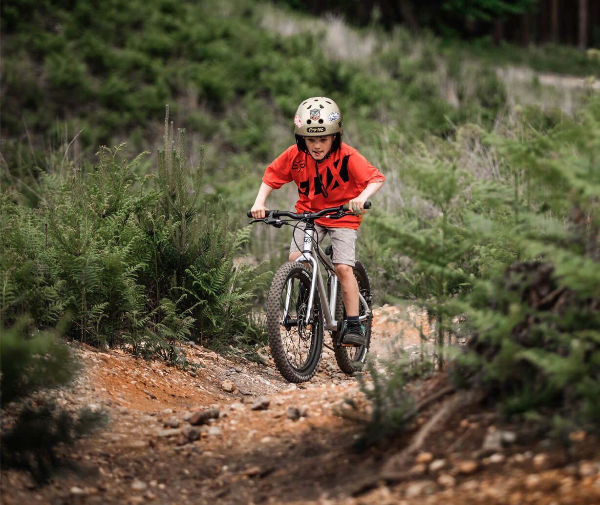 No compromise bikes for kids – Early Rider®