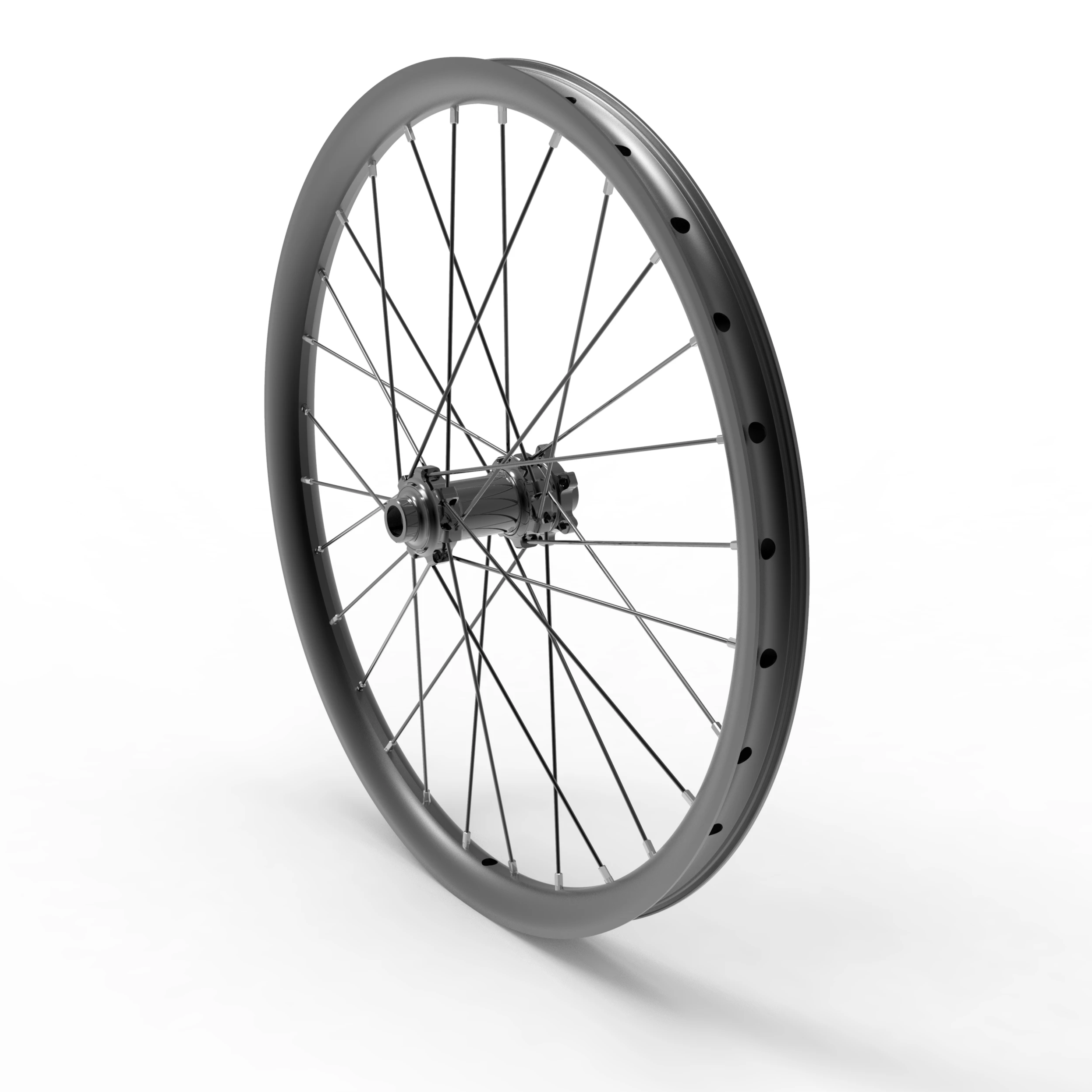 20" Hellion Front Wheel Assembly