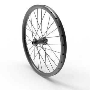 20" Hellion Front Wheel Assembly