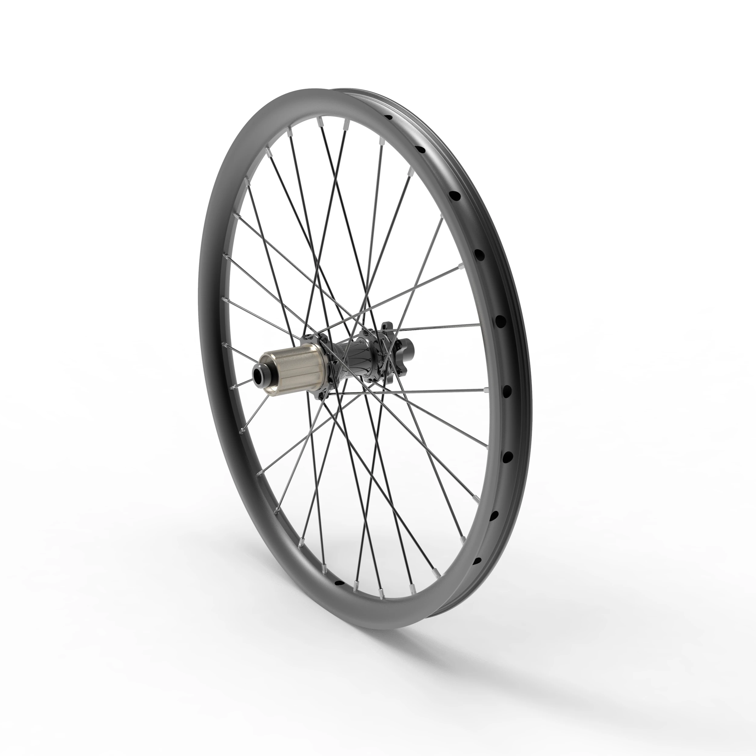 20" Hellion Rear Wheel Assembly