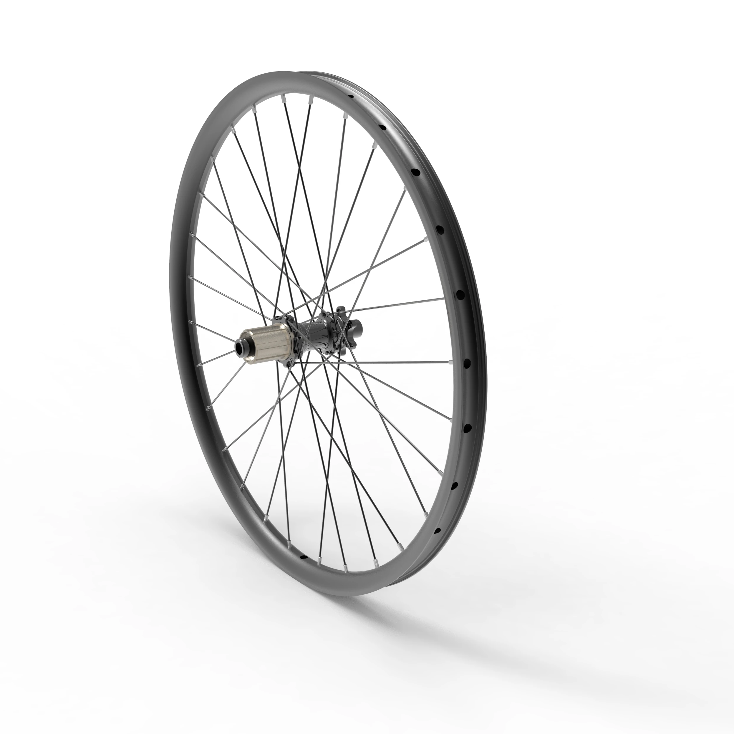 24" Hellion Rear Wheel Assembly