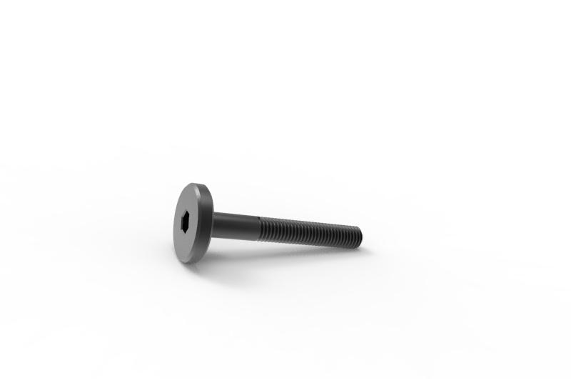 Fork Steering Restrictor Bolt